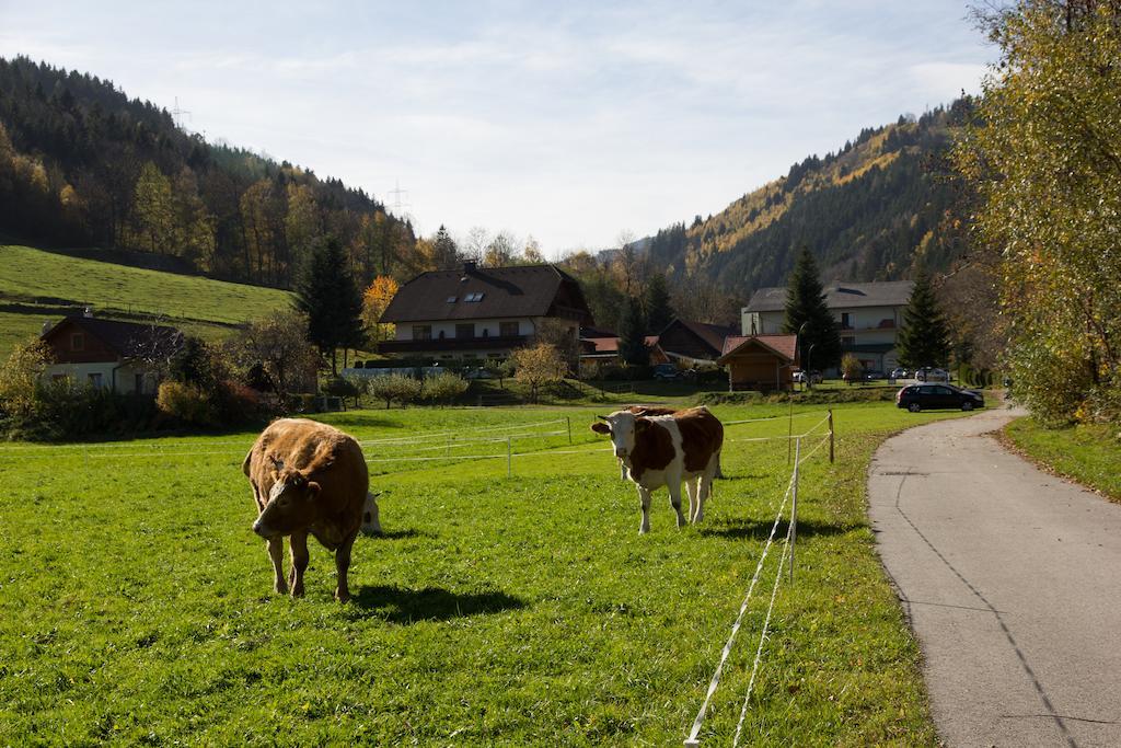 Hubertushof Hotel Trattenbach  Exterior photo